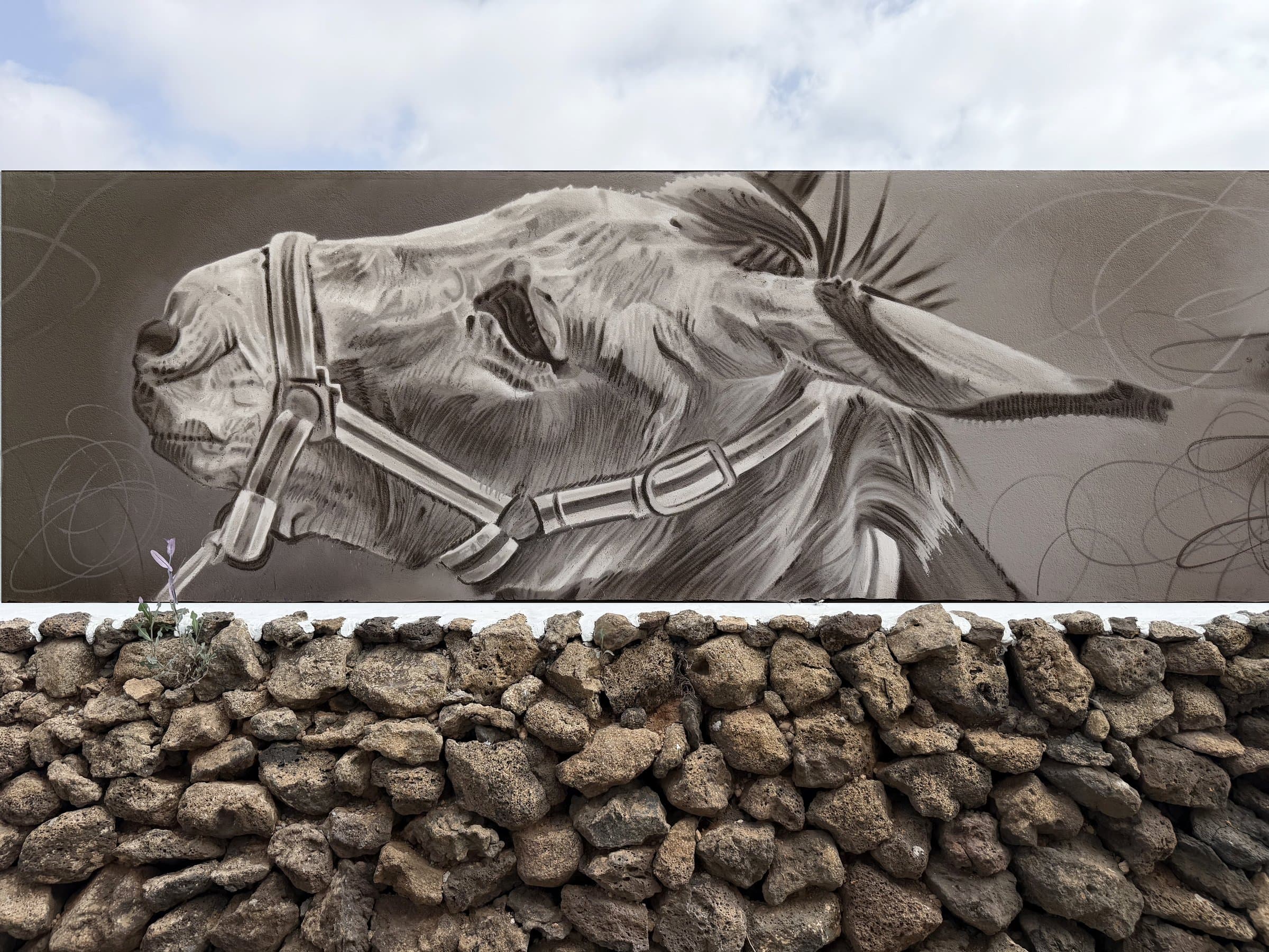 EcoFinca Origins 3